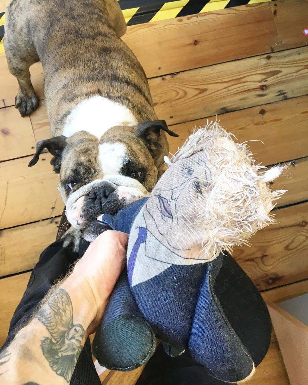 Amazon Com Boris Johnson Dog Puppy Toy By Pet Hates Toys Uk Political British Theme Handmade