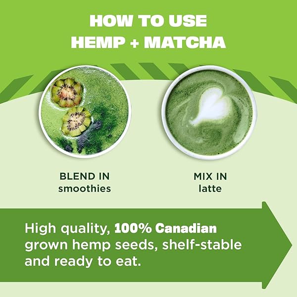 MANITOBA HARVEST ORGANIC HEMP & MATCHA POWDER, 5.5 OZ, ENERGY, 6G OF PROTEIN, 2G OF FIBER PER SERVING, MATCHA PROTEIN POWDER, VEGAN, NON-GMO PROJECT VERIFIED, 56G OF CAFFEINE, PACKAGING MAY VARY