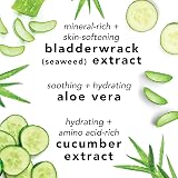 Mario Badescu Facial Spray Lavender Cucumber Duo Pack OG 2 view 4