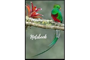 Quetzal Dreams Notebook: Quetzal Dreams: A Stunning Notebook with Majestic Quetzal Bird Artwork