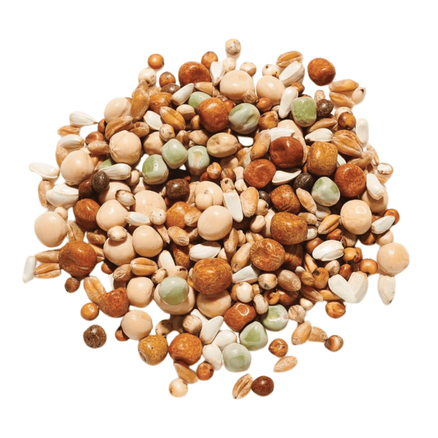 Countrywide Young Bird Plus Maize Pigeon Food 20kg - High Energy Feed For Young Pigeons - Used By Leading Fanciers All Year Round