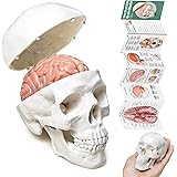 71pP7I7XeOL. AC UL160 SR160,160 Simbi: The Spirit of Water, Knowledge, and Magic