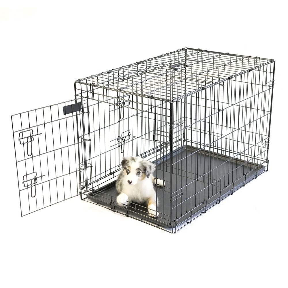 Pet Champion Deluxe 36 Inch Folding Portable 2Door Wire Pet Crate