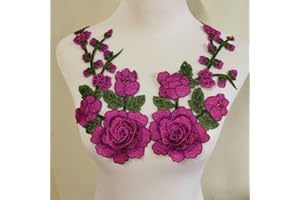 ZALALAA 2pcs Flowers Embroidered Patch Sticker for Clothing Jacket Jeans Lace Applique DIY Clothes Decorations Fabric Patches (H)