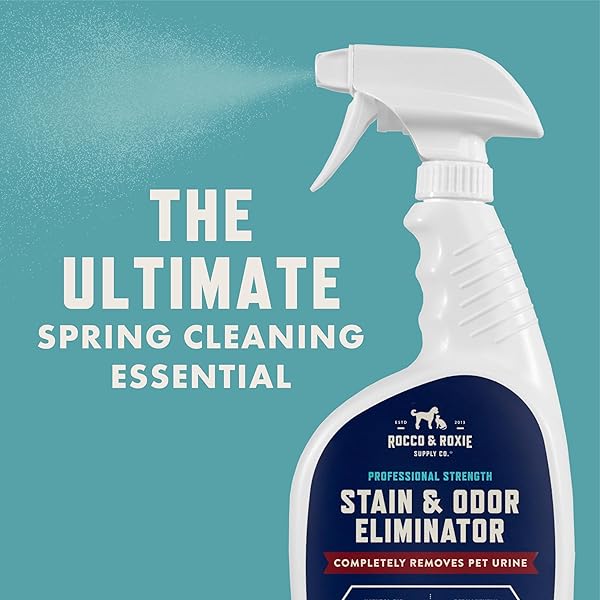 ROCCO & ROXIE SUPPLY CO. STAIN & STRONG ODOR ELIMINATOR, ENZYME CLEANER, PET ODOR ELIMINATOR FOR HOME – CARPET STAIN REMOVER FOR CATS & DOG PEE – URINE DESTROYER – CARPET CLEANER SPRAY CLEAR, 32 FL OZ
