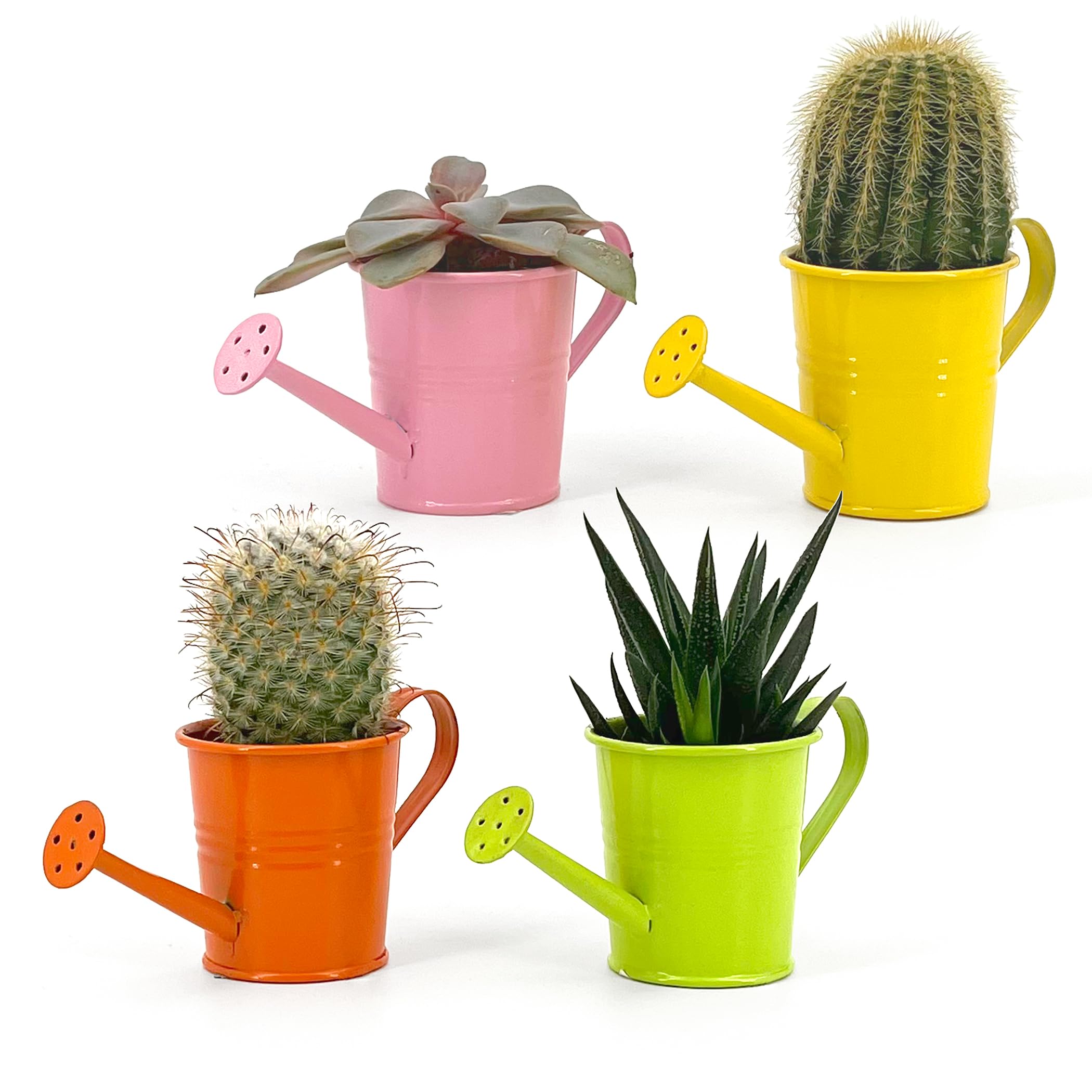 Set of 4 Mini Watering Can, Docorative Pot, for Succulent Plants, Small Small Flowers, Home Decoration, Garden, Balcony (Mix Colors)