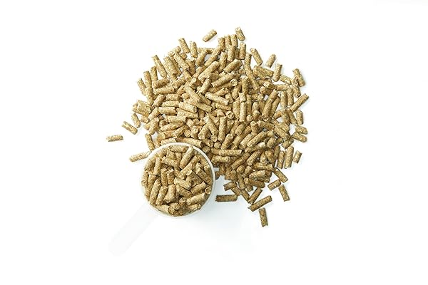 PURINA® SYSTEMIQ™ PROBIOTIC HORSE SUPPLEMENT | 2 POUNDS (2 LB)
