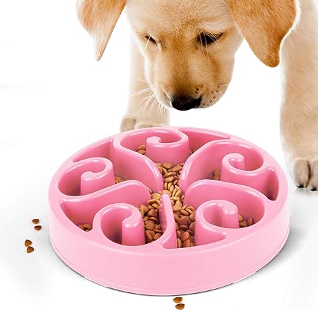 amazon dog slow feeder