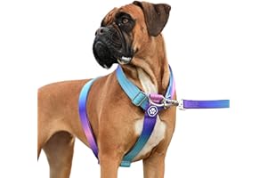 Spark Paws No Pull Dog Harness for Large Dogs, Heavy Duty Dog Harness for Big Strong Breeds, Adjustable, Y Shaped Padded Halter Design with Front Clip - 90s Retro – M