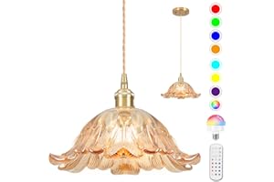 LOIOGOHOT Battery Operated Pendant Light,Amber Chandelier RGB Light Bulb 2500mAh 8.7in Vintage Light Fixtures with Remote Control Wireless Adjustable Rechargeable Chandelier for Kitchen Island Hallway 1Light