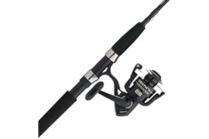 Penn Wrath II Spinning Reel and Fishing Rod Combo