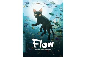 FLOW DVD