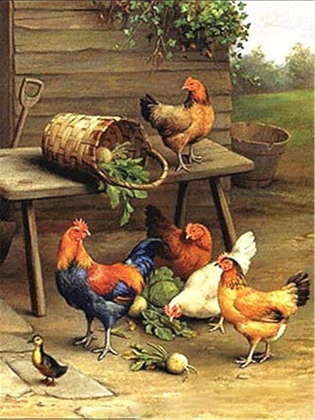 Amazon Co Jp デジタル絵画diyの鶏の絵動物の絵家の装飾a1 40x50cm フレームレス ホーム キッチン