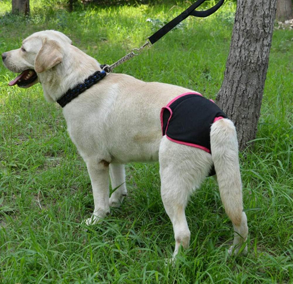 Diyafas 2 Pack Reusable Dog Nappies Physiological Pants Underwear Female Pet Sanitary Pads Hygiene Diapers for Small Medium and Large Dogs - Image 5