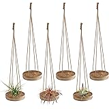6 Pcs Hanging Wooden Air Plant Holder - 3" Round Wooden Air Plant Hanger with Jute Ropes, Rustic Air Plant Stand Tillandsia S