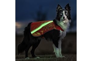 ILLUMISEEN LED Light Up Dog Hunting Vest | Ultra High Visibility Up to 350 Yards | 8 Light Color Options | USB Rechargeable, No Batteries Needed | Adjustable with Quick Release Buckles | Weatherproof