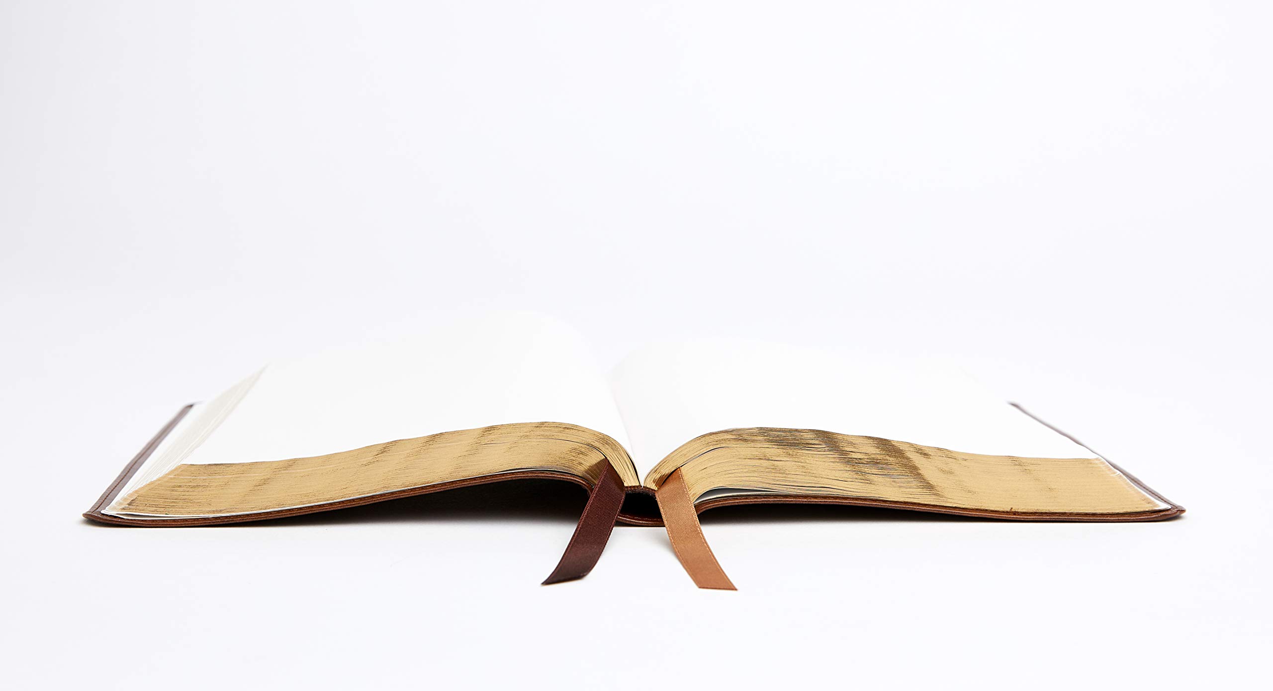NRSV, Catholic Bible, Standard Personal Size, Leathersoft, Brown, Comfort Print: Holy Bible