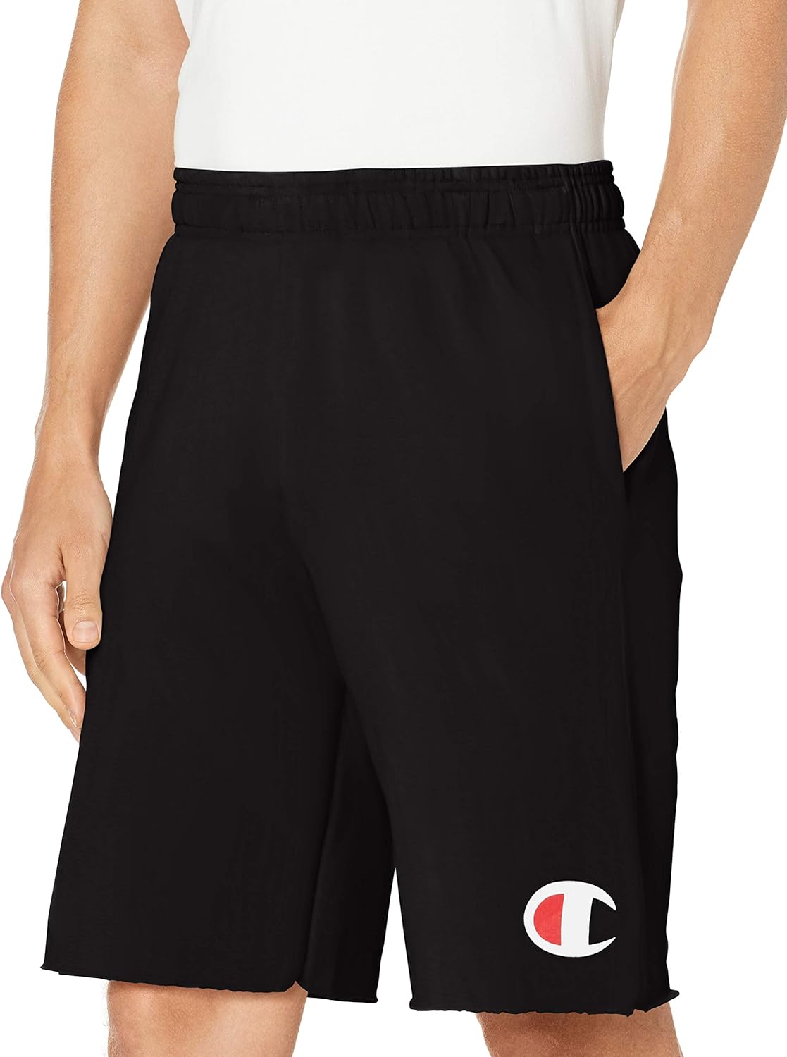 Champion Men's Graphic Powerblend Fleece Short: Clothing
