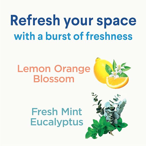CLOROX DISINFECTING MIST, LEMON AND ORANGE BLOSSOM, 1 SPRAY AND 1 REFILL, 16 OZ EACH