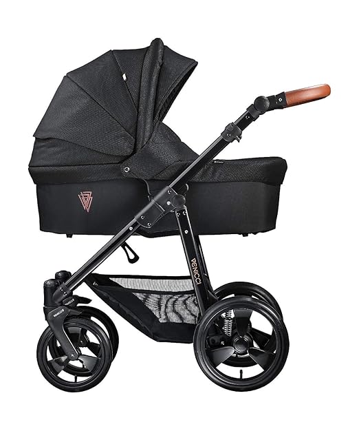 baccani 2 in 1 stroller