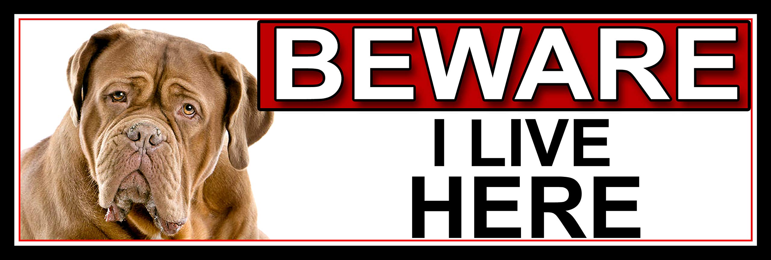 SHAWPRINT Dogue-De-Bordeaux BEWARE I LIVE HERE METAL GATE SIGN 266mm x 87m. (455H2)