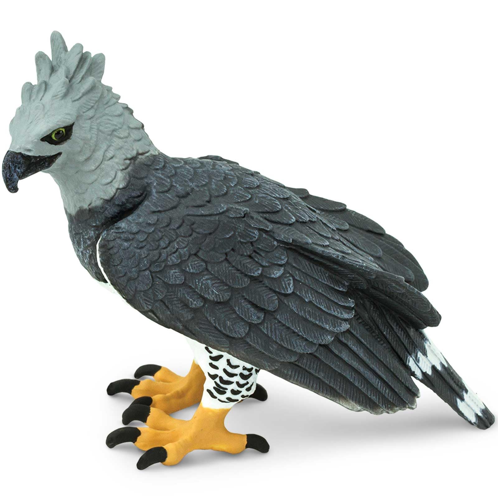 Safari - Eagle Harpia Animals, Multicoloured (S150929)