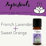 Sensoli Magic of Provence Essential Oil Blend Aromatherapy Wellbeing 10ml view 3