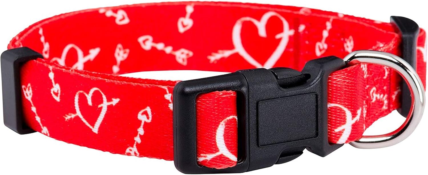 valentines day dog collars