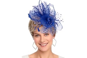 HIWIND Fascinators Hat Women Tea Party Headband Flower Cocktail Mesh Feathers Hair Clip Kentucky Derby Hat Wedding