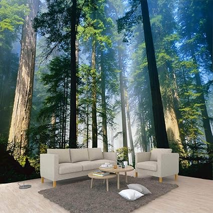 Avoir Images Decoration De La Maison Huangyahui Papiers Peints Photo 3d Nature le plus cool par