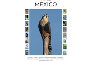 Ecotourism Mexico: Wildlife, Nature, Walking, Hiking, Birdwatching, Mammals, Snorkelling, Maps, Itineraries, Transportation, 