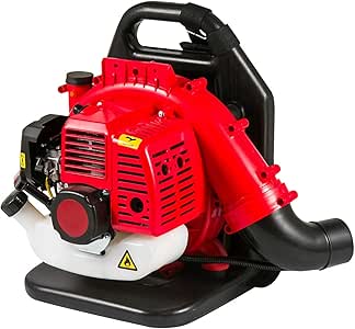 LiRongPing Soplador de Hojas de Gasolina rentable: Amazon.es: Hogar