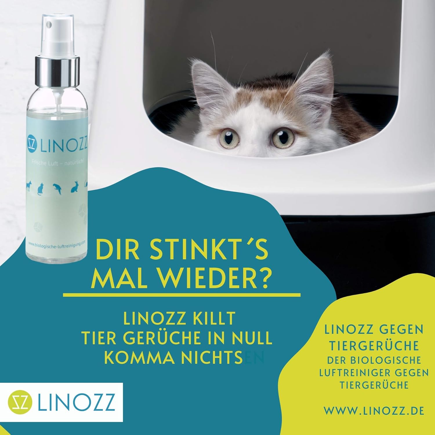 Linozz Geruchsneutralisierer 100 Ml Gegen Tiergeruch Beseitigt Geruch Von Hund Und Katze Optimal Zum Entfernen Von Hundegeruch Und Hundeurin Im Haus Amazon De Haustier