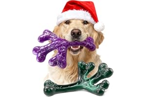 Frienhund Aggressive Chewers Dog Chew Toys - 2 Pack Tough Dog Toys for Aggressive Chewers Large Breed, Indestructible Dogs Toy for Gift, Interactive to Keep Them Busy