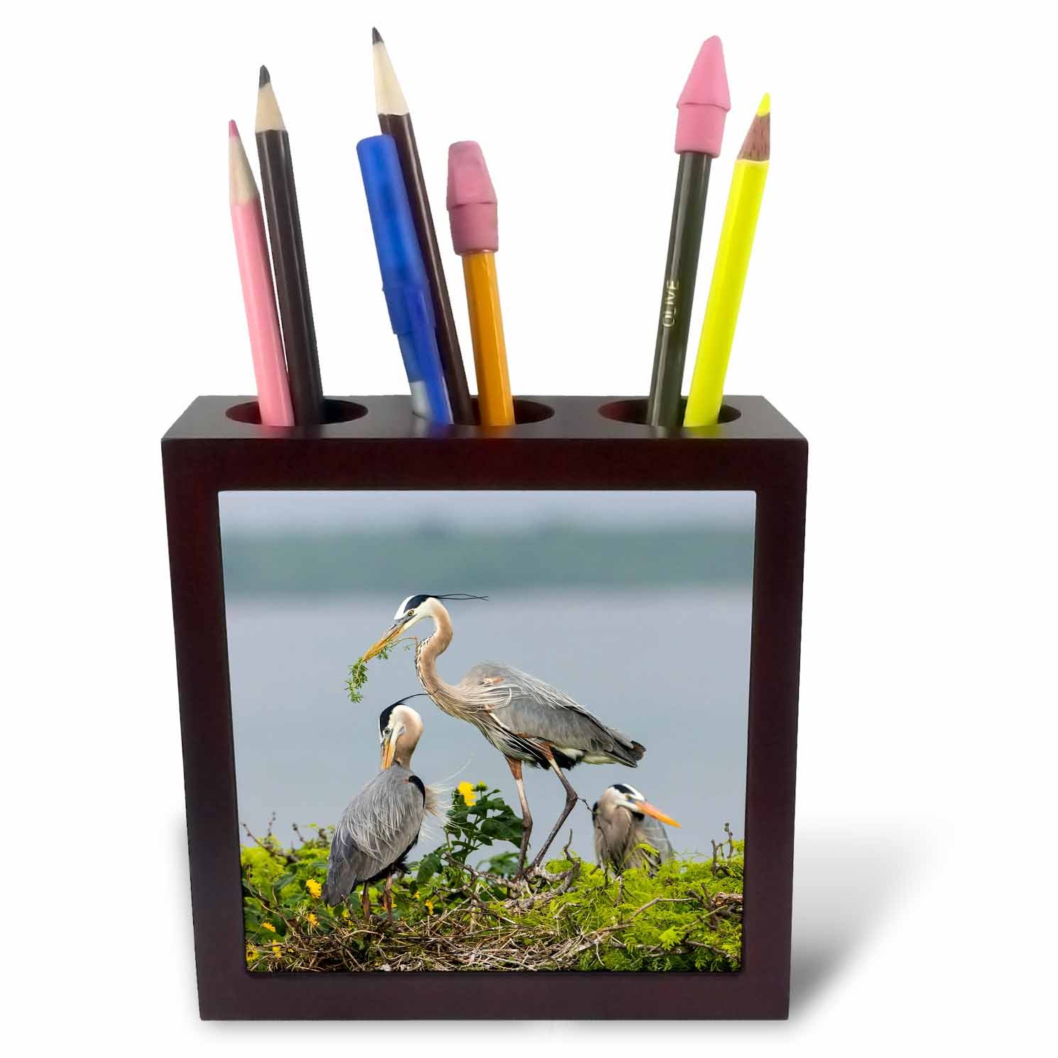 3dRose Blue Heron Building Its Nest-Tile Pen Holder, 5-Inch (Ph_260114_1), 5 Inches