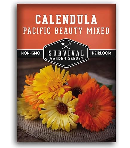 Flor De Caléndula En El Jardín | Foto Premium