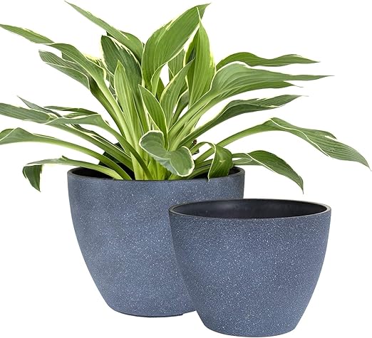 Blumentopfe Outdoor Indoor Garten Pflanzgefasse Pflanzgefasse Mit Ablaufloch Verwittertes Grau 21 1 Cm 19 1 Cm Amazon De Garten