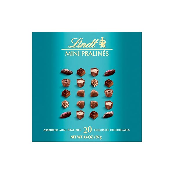 LINDT MINI PRALINES, ASSORTED CHOCOLATE CANDY PRALINES WITH PREMIUM FILLING, 3.4 OZ BOX