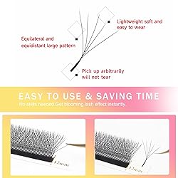 Lash Extensions 5D Eyelash Extensions W Lashes