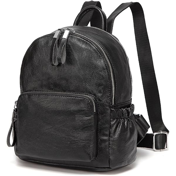 Amazon.com | Osgoode Marley Small Organizer Black Backpack  display picture 1
