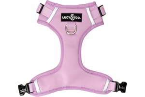 Lucy & Co. The Bouquet No-Pull Dog Harness – Size X-Small – Vest to Stop Pulling & Walk Easy – Comfortable Leash Training Product w/Adjustable Chest & Neck Straps