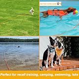 Vivifying Long Dog Lead 10M Reflective Floating with Soft Handle Orange view 5