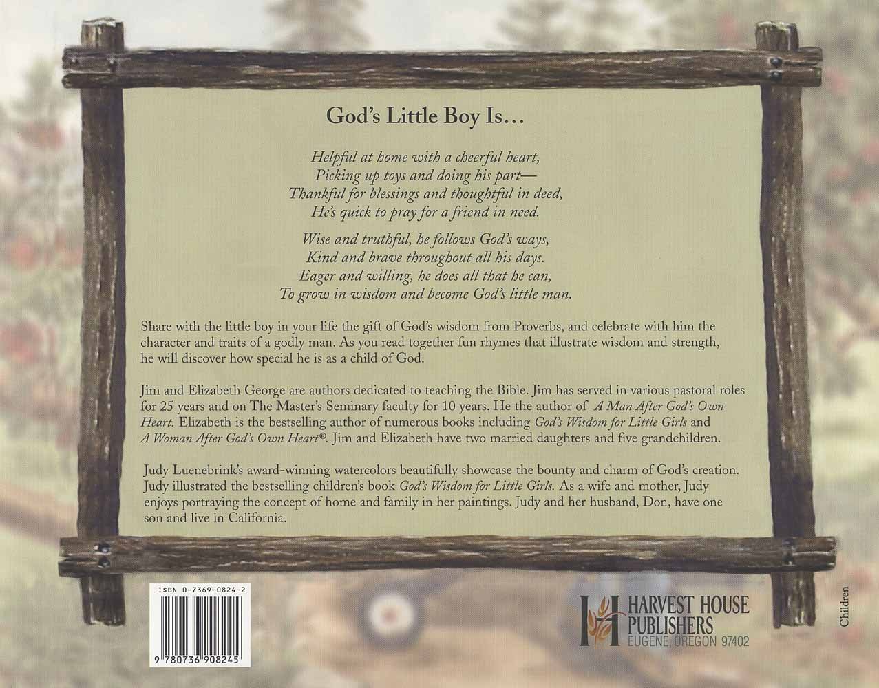 God's Wisdom for Little Boys: Character-Building Fun from Proverbs: Jim  George, Elizabeth George, Judy Luenebrink: 9780736908245: Amazon.com: Books