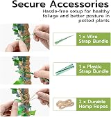 Mcbazel Moss Pole 2-Pack 60cm Bendable Coir Plant Support with Ties view 5