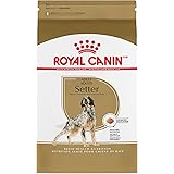 royal canin dalmatian