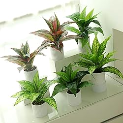 LOVENIMEN Artificial Magnolia Plants, Fake Grass