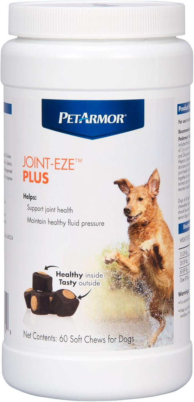 greyhounds with cats