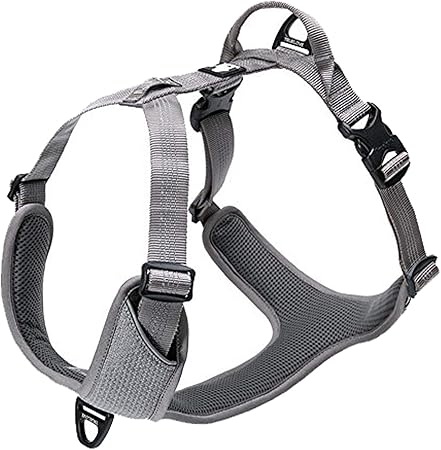 true love harness amazon