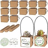 ENYOUNG 50 Pcs succulent wraps Bags,Mini Kraft Succulent Favor Box Basket with Handle for 2 Inch Pots Wedding, Baby Shower, Succulent Party Favors for Guests