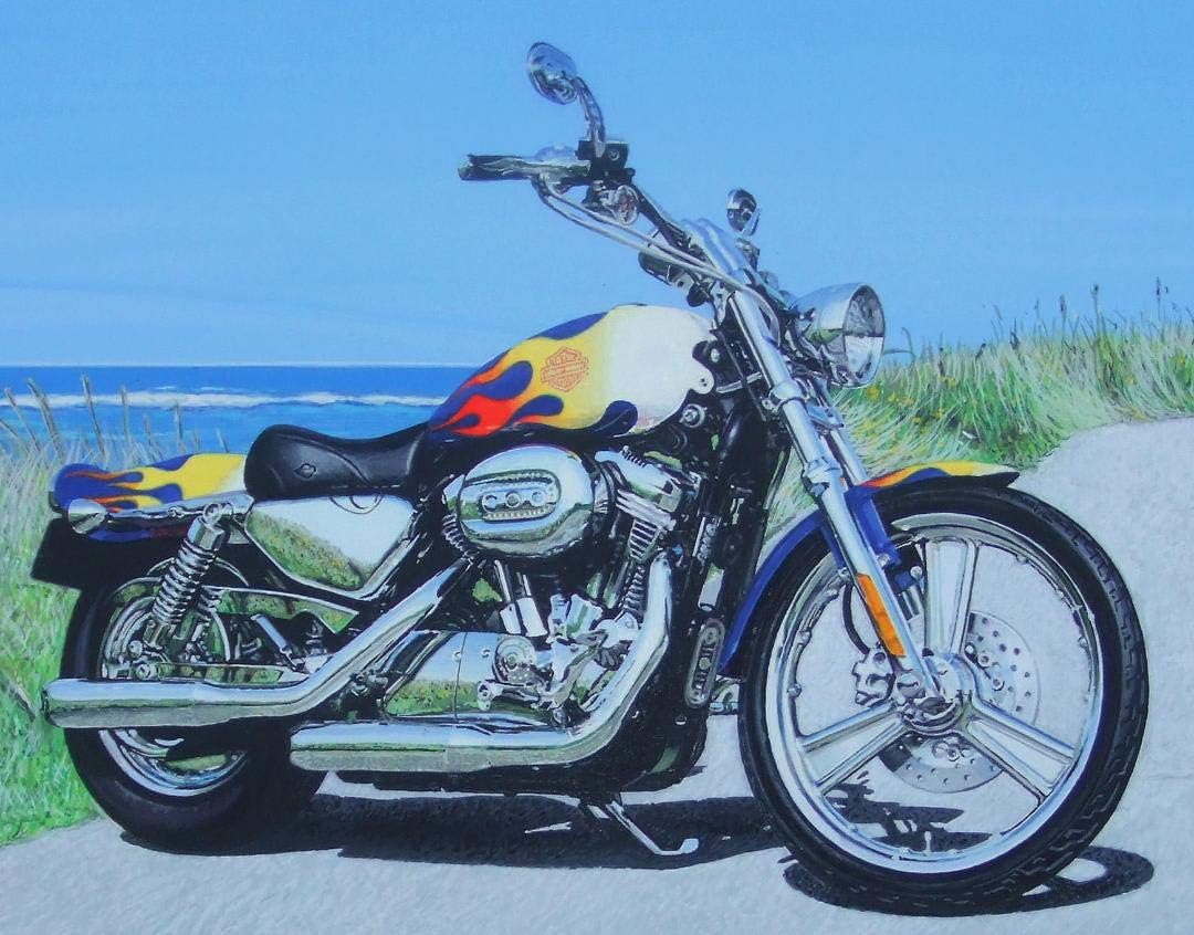 Amazon ハーレーダビッドソン リアルイラスト原画 額装込 おもちゃ ホビー